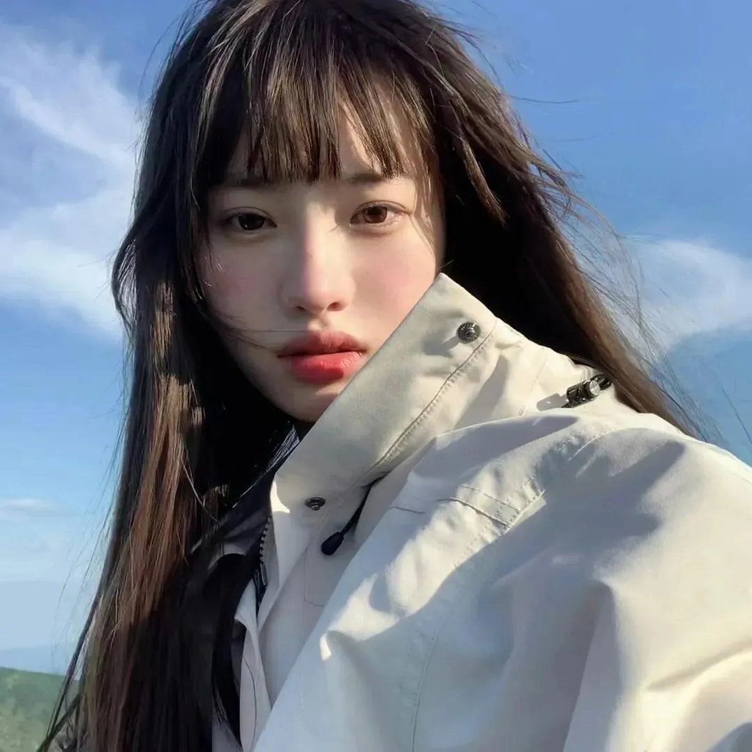 南来北往